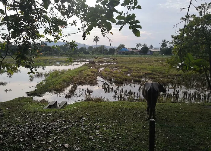 Homestay Barakah Cenang Langkawi