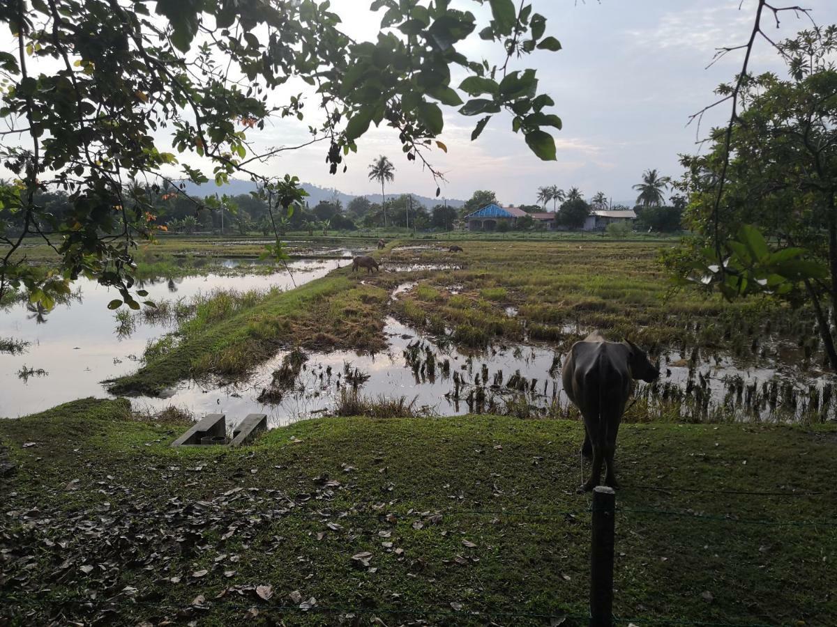 Barakah Cenang Langkawi